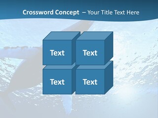 Blue Swimming Sea PowerPoint Template