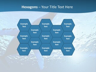 Blue Swimming Sea PowerPoint Template