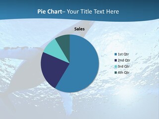Blue Swimming Sea PowerPoint Template