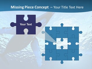 Blue Swimming Sea PowerPoint Template