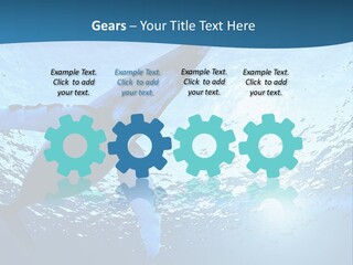 Blue Swimming Sea PowerPoint Template