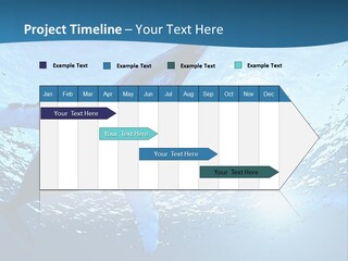 Blue Swimming Sea PowerPoint Template