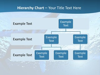 Blue Swimming Sea PowerPoint Template