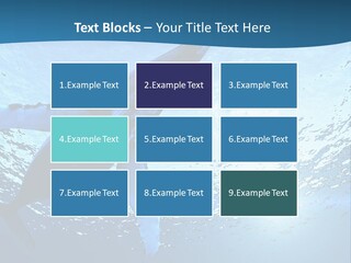 Blue Swimming Sea PowerPoint Template