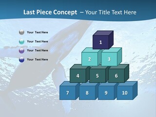 Blue Swimming Sea PowerPoint Template