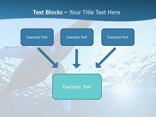 Blue Swimming Sea PowerPoint Template