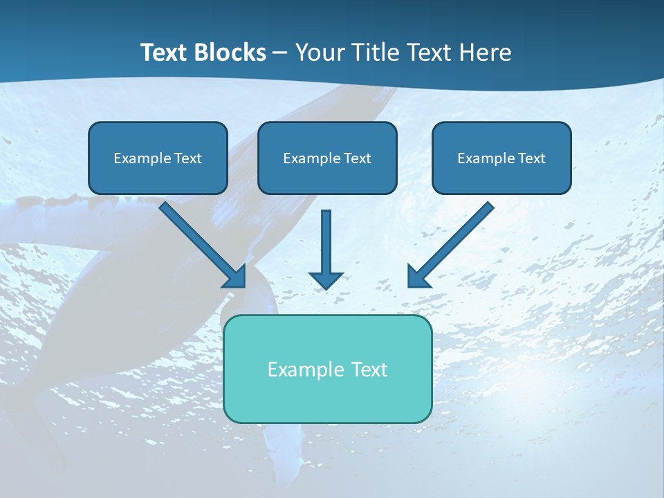 Blue Swimming Sea PowerPoint Template