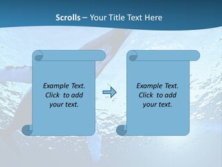 Blue Swimming Sea PowerPoint Template