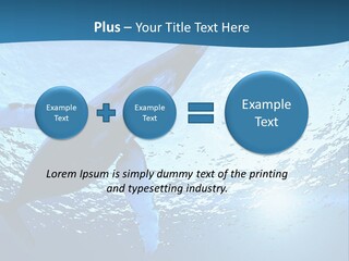 Blue Swimming Sea PowerPoint Template