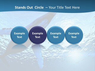 Blue Swimming Sea PowerPoint Template