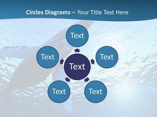 Blue Swimming Sea PowerPoint Template