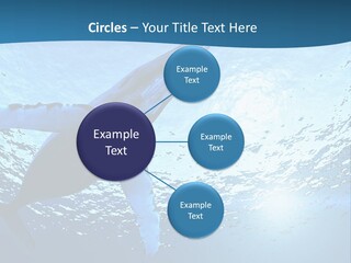 Blue Swimming Sea PowerPoint Template