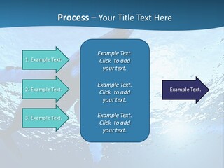 Blue Swimming Sea PowerPoint Template