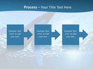 Blue Swimming Sea PowerPoint Template