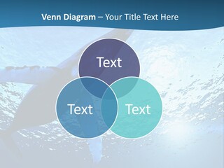 Blue Swimming Sea PowerPoint Template
