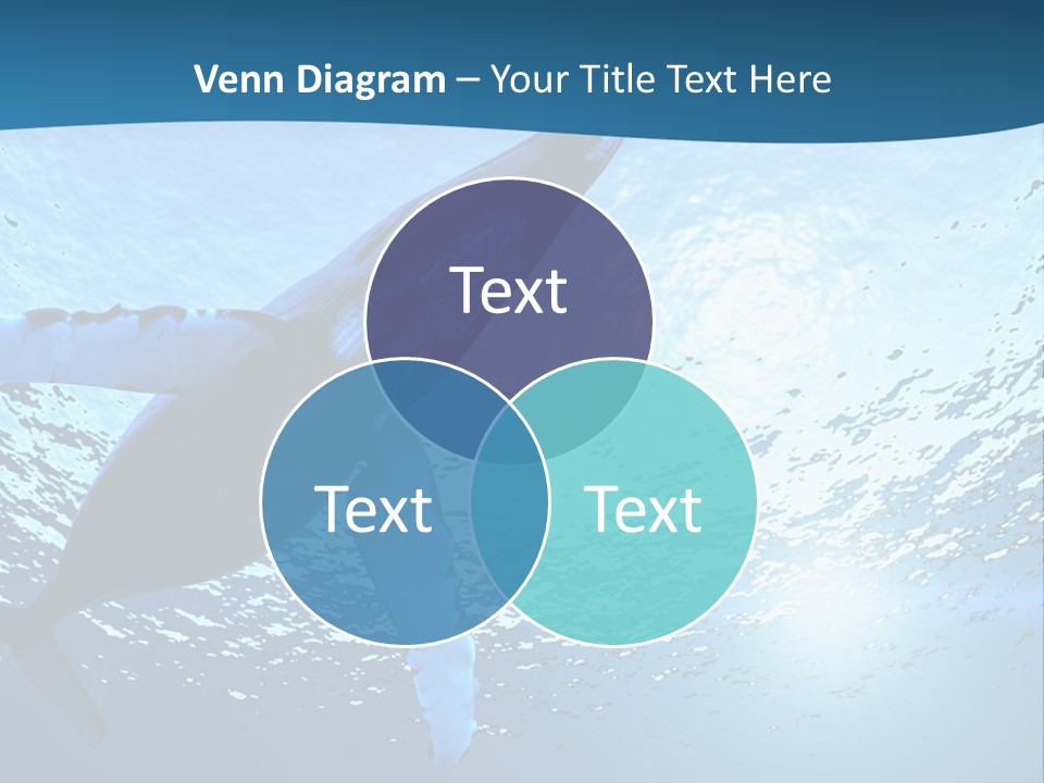Blue Swimming Sea PowerPoint Template