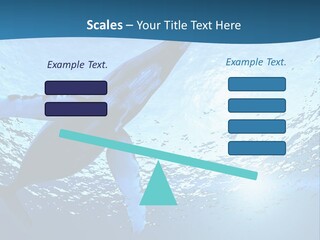 Blue Swimming Sea PowerPoint Template