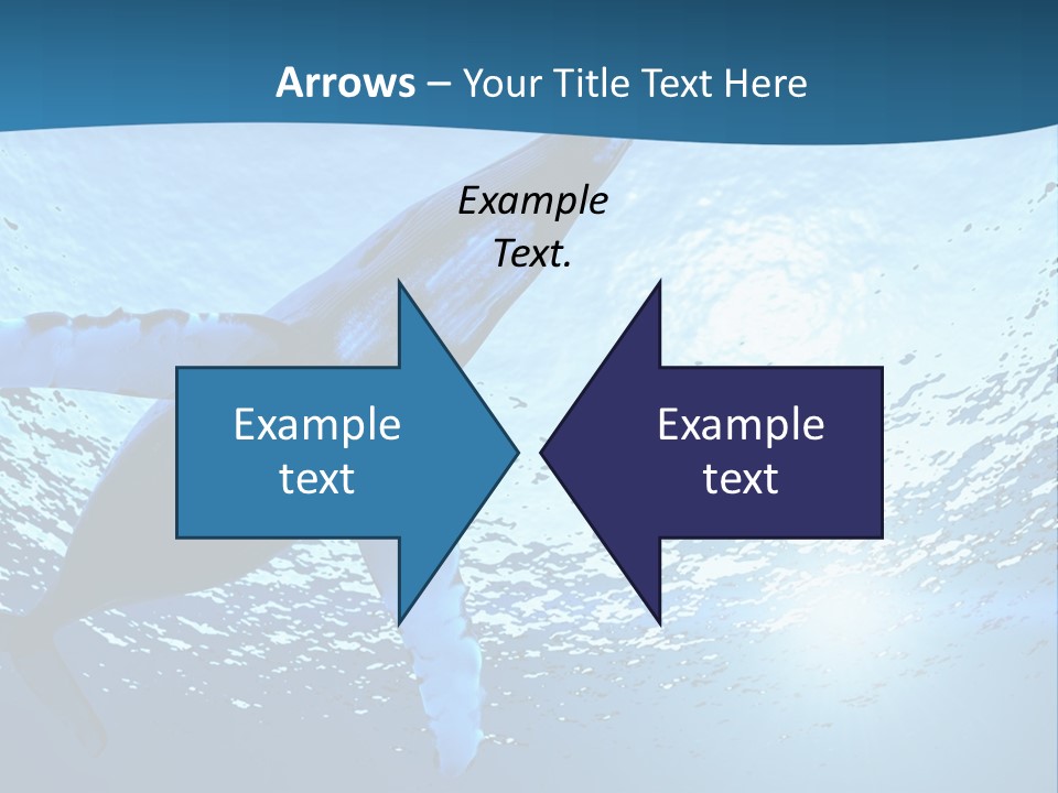 Blue Swimming Sea PowerPoint Template