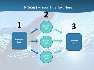 Blue Swimming Sea PowerPoint Template