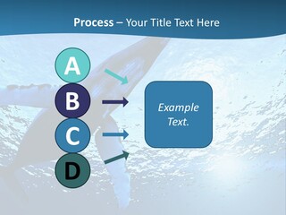 Blue Swimming Sea PowerPoint Template