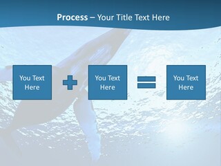 Blue Swimming Sea PowerPoint Template