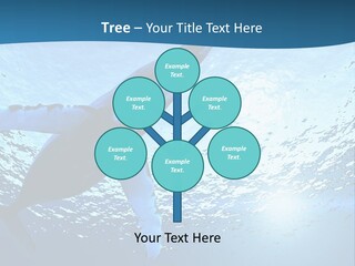 Blue Swimming Sea PowerPoint Template
