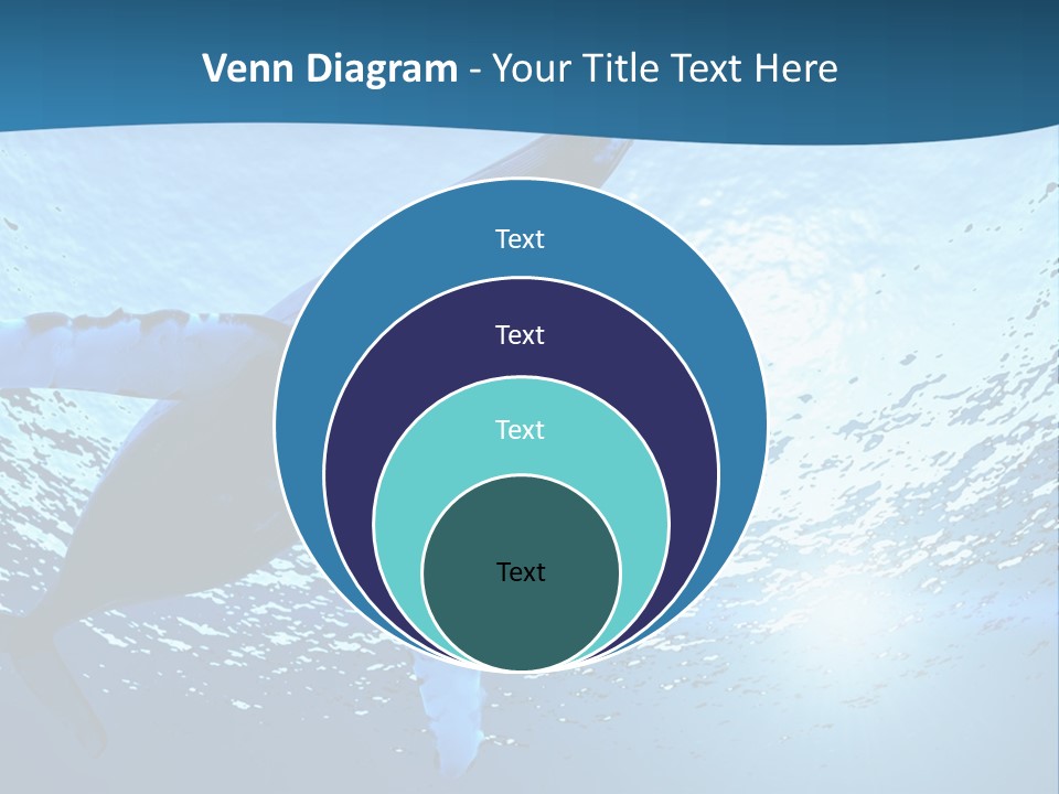 Blue Swimming Sea PowerPoint Template