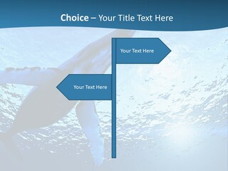 Blue Swimming Sea PowerPoint Template