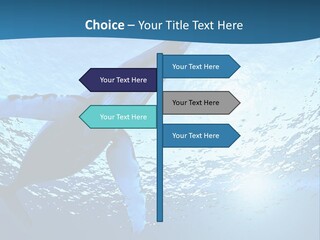 Blue Swimming Sea PowerPoint Template