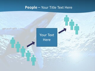 Blue Swimming Sea PowerPoint Template