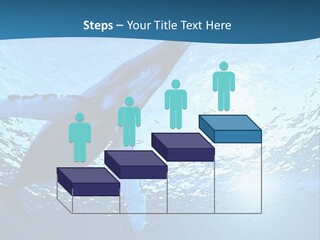 Blue Swimming Sea PowerPoint Template