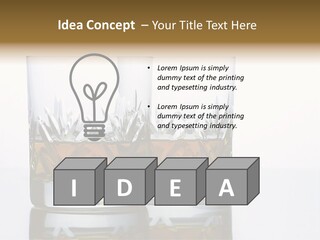 Scotland Whisky Pub PowerPoint Template