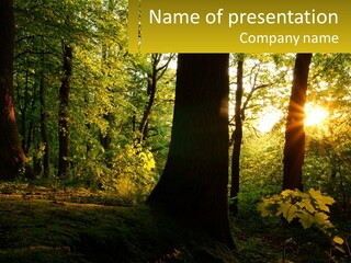 Bright Solitude Green PowerPoint Template