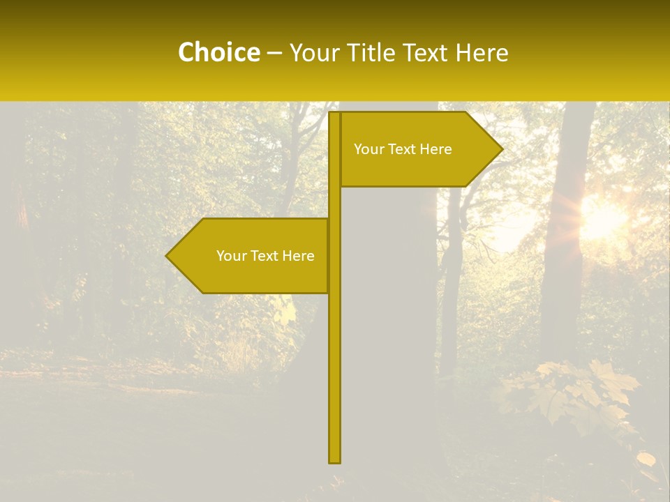 Bright Solitude Green PowerPoint Template