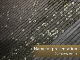 Grey Rooves Flora PowerPoint Template