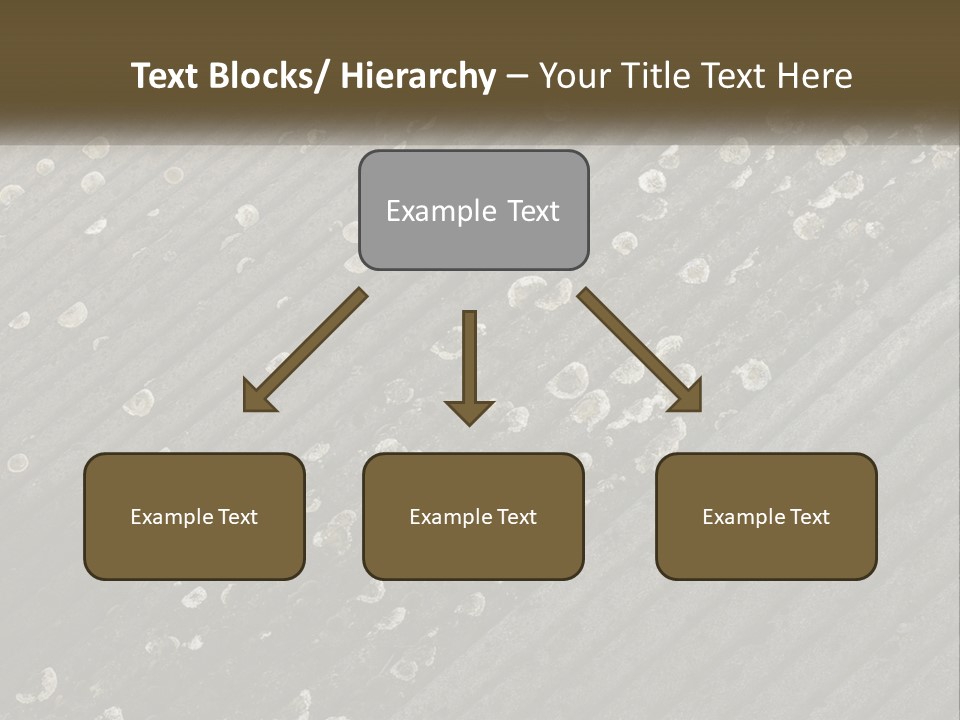 Grey Rooves Flora PowerPoint Template