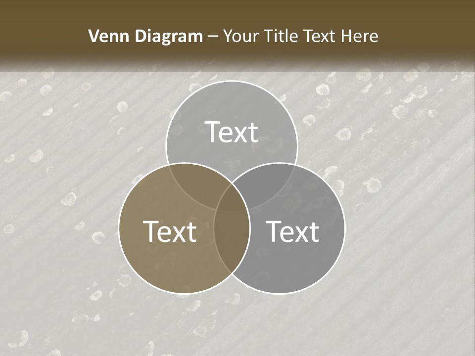 Grey Rooves Flora PowerPoint Template