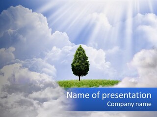 A Tree In The Middle Of A Field With Clouds In The Background PowerPoint Template