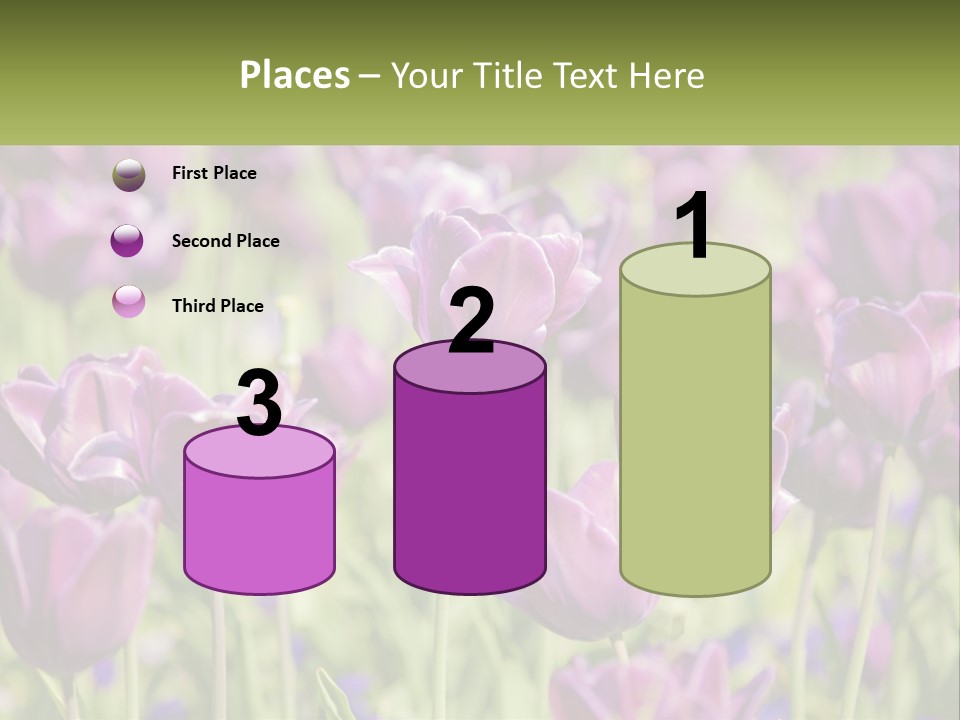 Flower Field Park PowerPoint Template