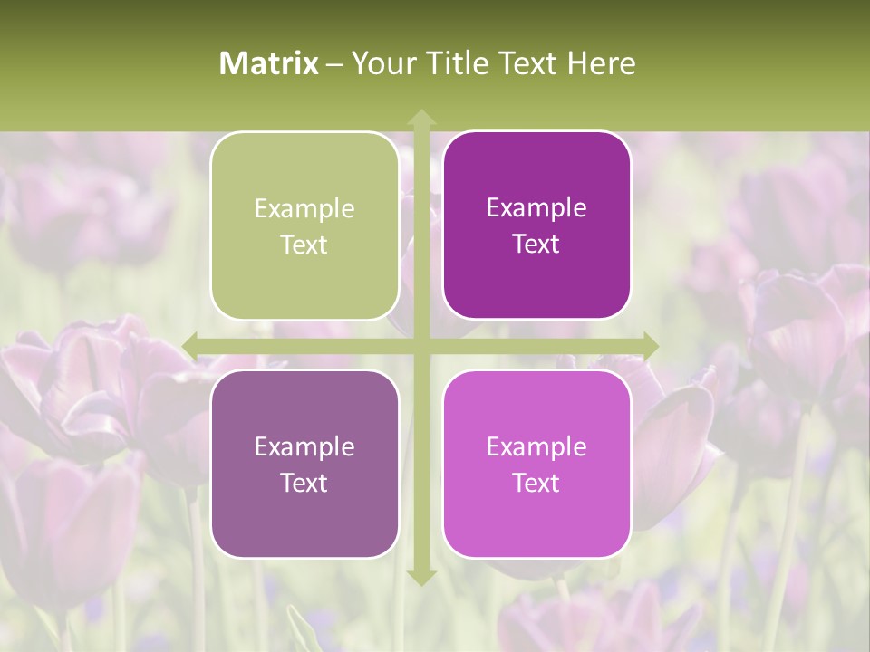 Flower Field Park PowerPoint Template