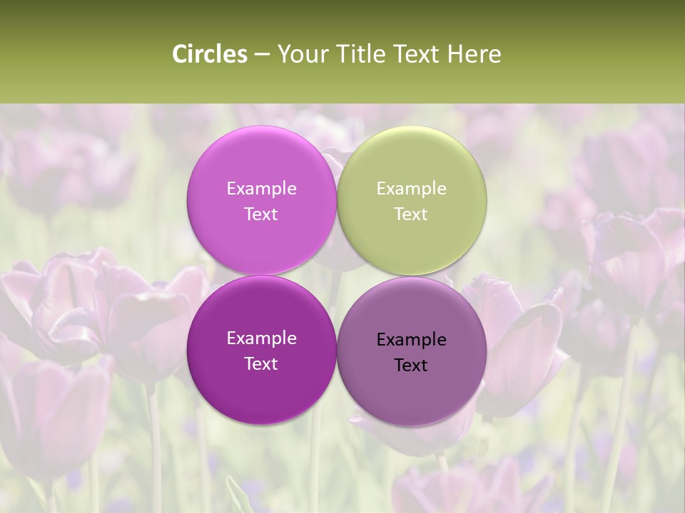 Flower Field Park PowerPoint Template