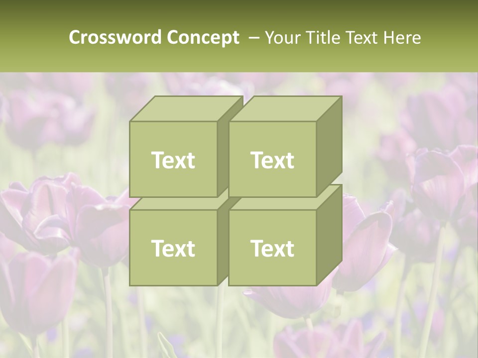 Flower Field Park PowerPoint Template