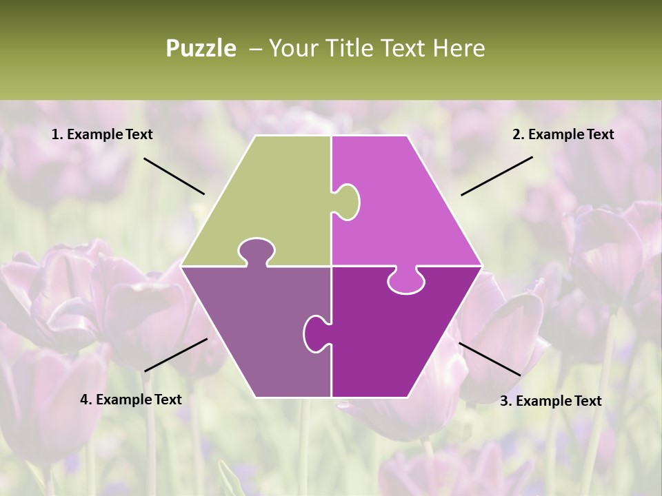 Flower Field Park PowerPoint Template