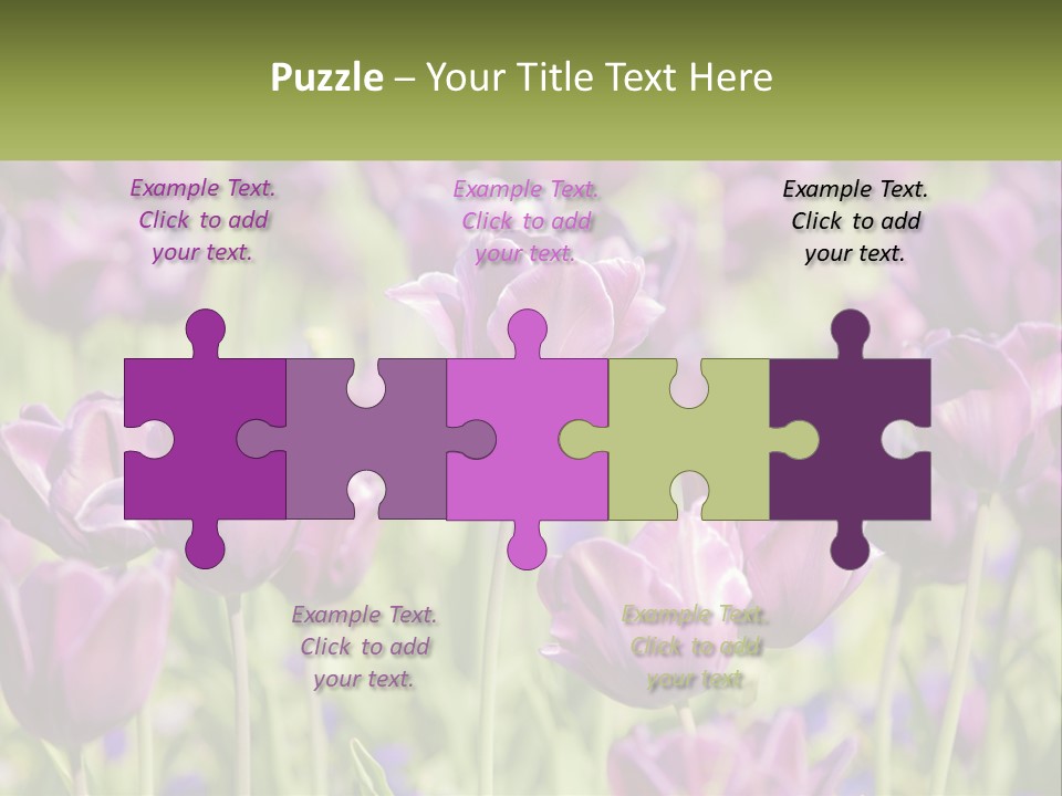 Flower Field Park PowerPoint Template