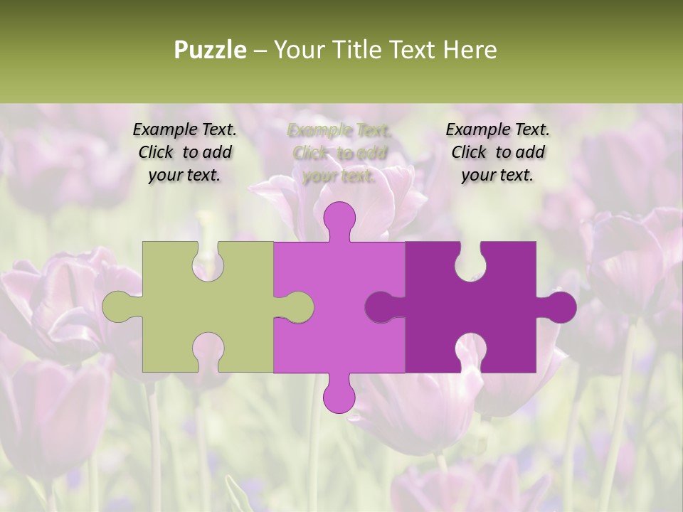 Flower Field Park PowerPoint Template