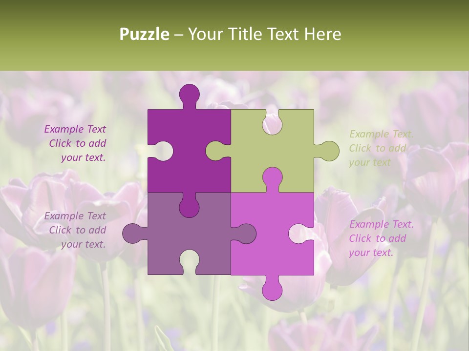 Flower Field Park PowerPoint Template