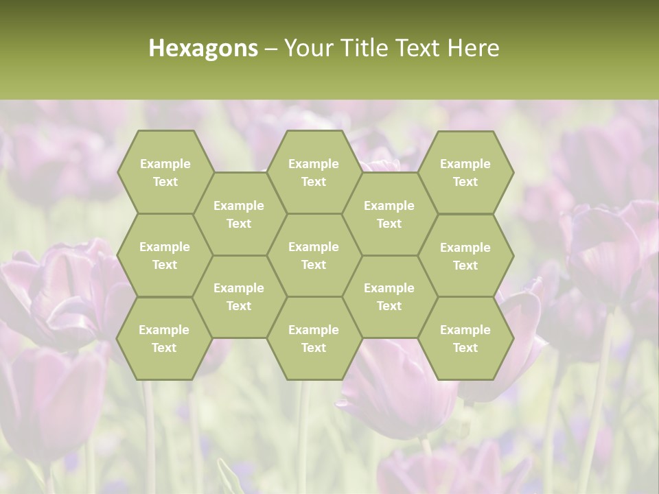 Flower Field Park PowerPoint Template