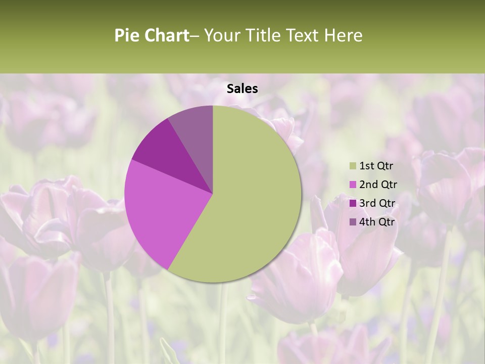Flower Field Park PowerPoint Template