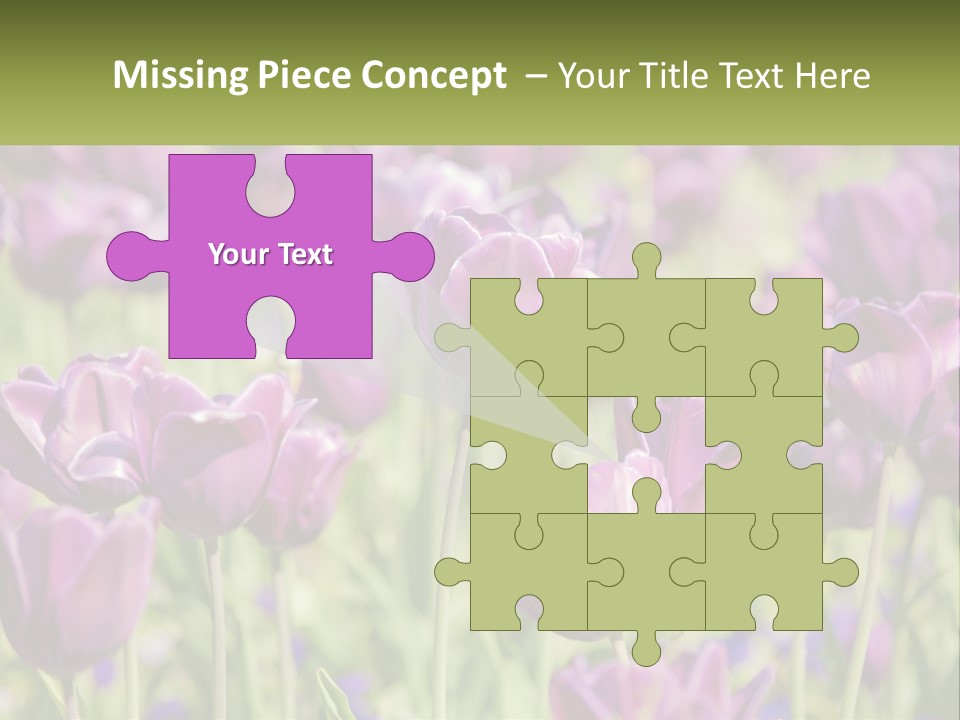 Flower Field Park PowerPoint Template