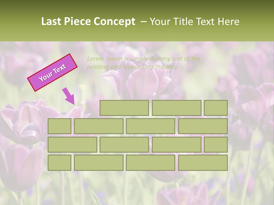 Flower Field Park PowerPoint Template